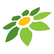 LIVE DRAW VIRGINIA DAY